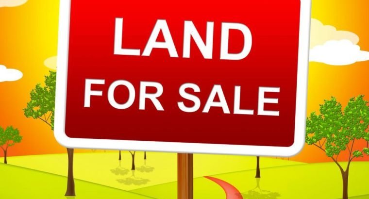 Residential / Commercial Land for Sale at Kothapeta, Guntur