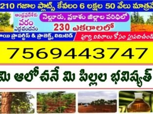 Farm Land For Sale at Nellore & Prakasam Dist.