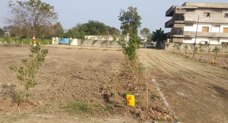 Residential Open Plots for Sale at Guntur, Narasaraopet