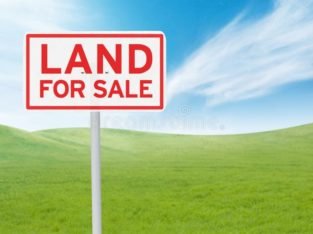 Land For Sale at Achampeta, Kakinada Rural