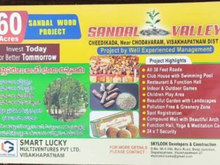 60 Acres Agro Farm Plots Land for Sale near Cheedikada, Visakhapatnam.