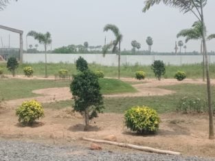 Residential Open Plots for Sale at Chirala Prakasam Dist.