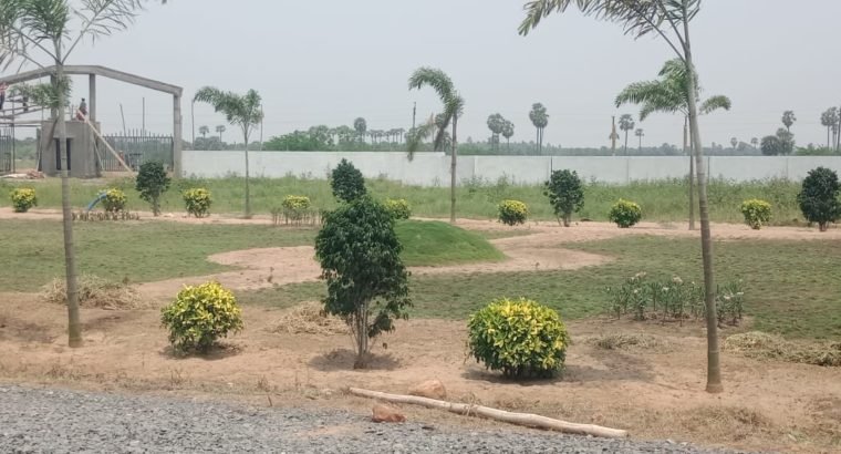 Residential Open Plots for Sale at Chirala Prakasam Dist.