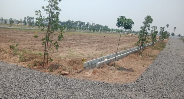 Residential Open Plots for Sale at Chirala Prakasam Dist.