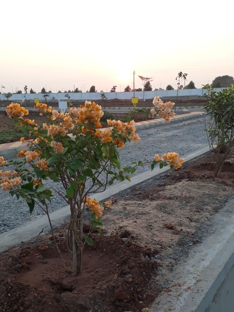 Independent Houses & Open Plots For Sale at Kankipadu NH, Krishna District