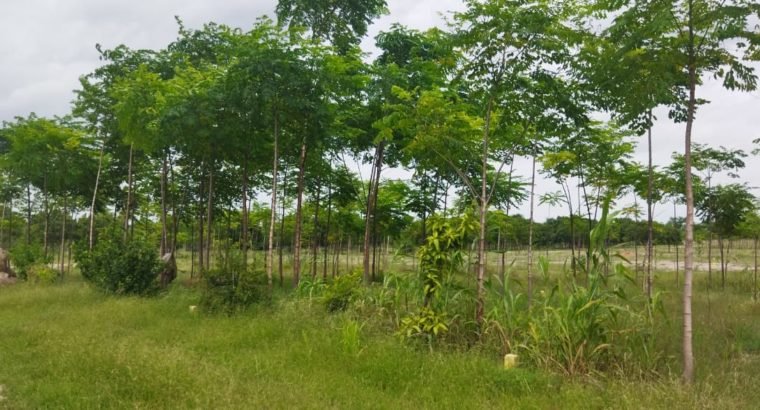 120 Acres Of Farm Land For Sale at Bhuvanagiri Yadadri District.